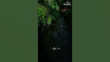 آيات من سورة الكهف جمعة مباركة😍