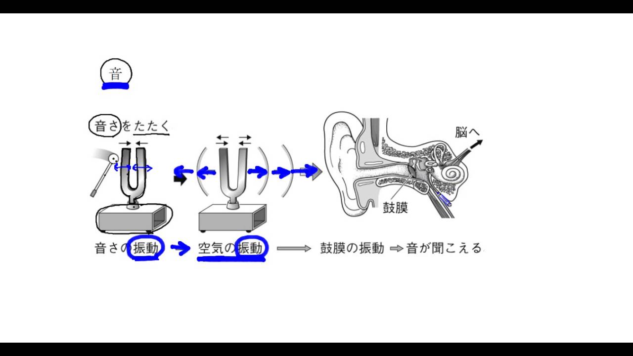 中学理科解説動画 音の世界１ Youtube