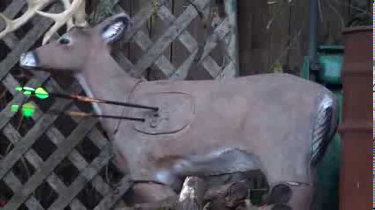 Target Practice PSE Bow Madness