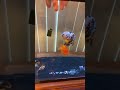 Gel Food For Goldfish Mp3 Song