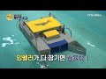 해양탄소저장소 ´블루카본´ 축구장 32배 넓이 복원 / YTN