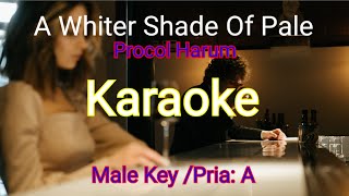 A WHITER SHADE OF PALE-KARAOKE ( Procol Harum )-Male Vocal/ Pria (A)
