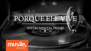 Video thumbnail of "Porque Ele Vive (Because He Lives) - Instrumental Praise"