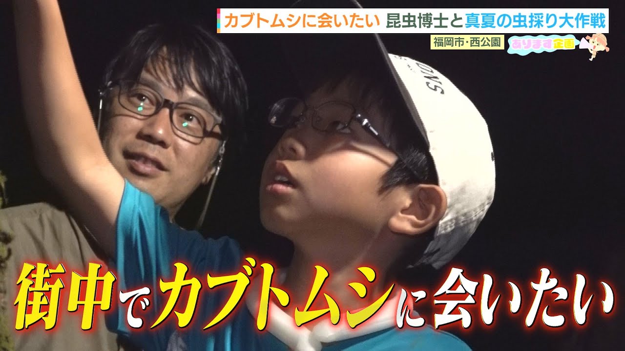 街中にカブトムシがいない？丸山宗利先生＆昆虫少年の虫採り大作戦【水と緑の物語】（２０２５年８月２日放送）