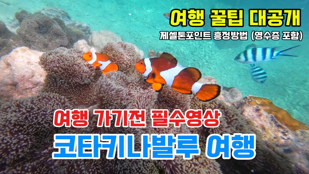 코타키나발루 여행 (1) 🏝️ 자유여행 꿀팁대공개 | 현지투어 흥정 | 가성비숙소 추천 | 액티비티 호핑투어 섬투어 마무틱 파라세일링 스노쿨링투어 가이드스노쿨링 | 제셀톤퀘이