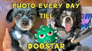 Photo Every Day Till DOGSTAR (James Hetfield , EVH ) and More..