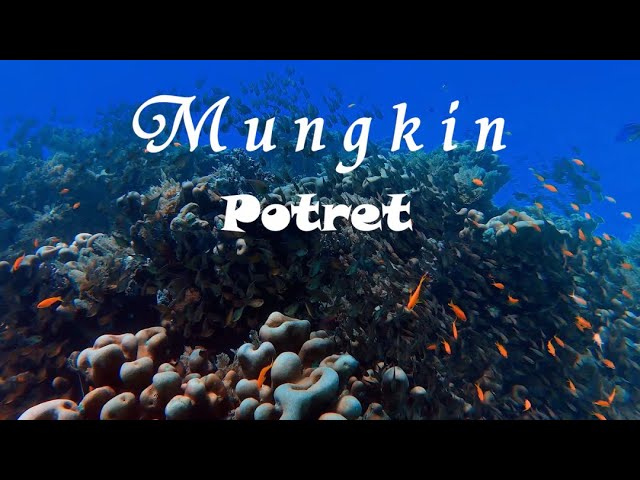 MUNGKIN - Potret (Lirik) | Cover By Nabila Maharani class=