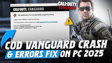 How To Fix The Application Has Unexpectedly Stopped Working Error in COD Vanguard PC in 2025