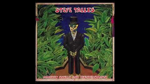 Steve Tallis - Monkey Skulls And Thunderstones Full Album