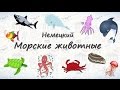 Морские животные на немецком.