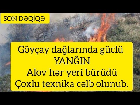 SON DƏQİQƏ:Göyçay dağlarında