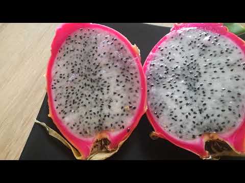 Видео: Pitaya е непознат супер плод