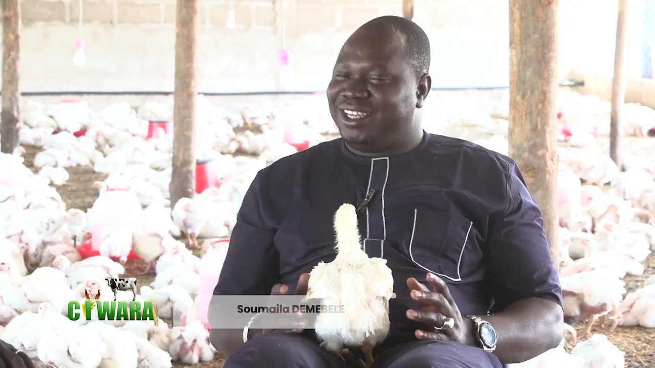 EMISSION CIWARA THEME VOLLAILE DOUKOULAKORO AVRIL 2024