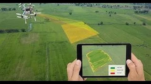 ArcGIS tutorial 12: How to Calculate NDVI