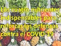 Los cuatro nutrientes indispensables para reforzar las defensas contra el covid-19