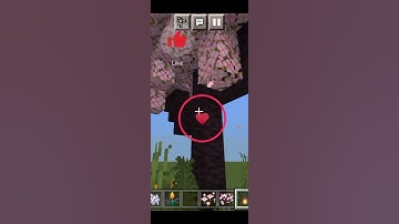 Minecraft Enchanted Forest