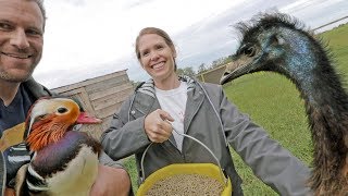Feeding ALL 63 of our animals Feeding ALL 63 of our animals