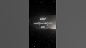 سورة الإنسان|18-22|القارئ:#محمد_اللحيدان #قران #quran #راحة_نفسية #قران_كريم #تلاوة #تلاوة_هادئة#آية