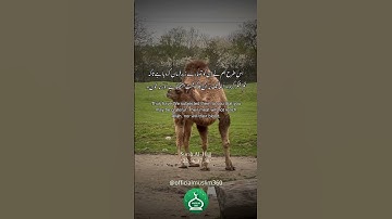 Eid Ul Adha   Surah Al Hajj   Quran   سورة الحج