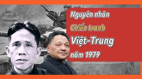 CAUSES OF THE 1979 VIETNAM - CHINA WAR