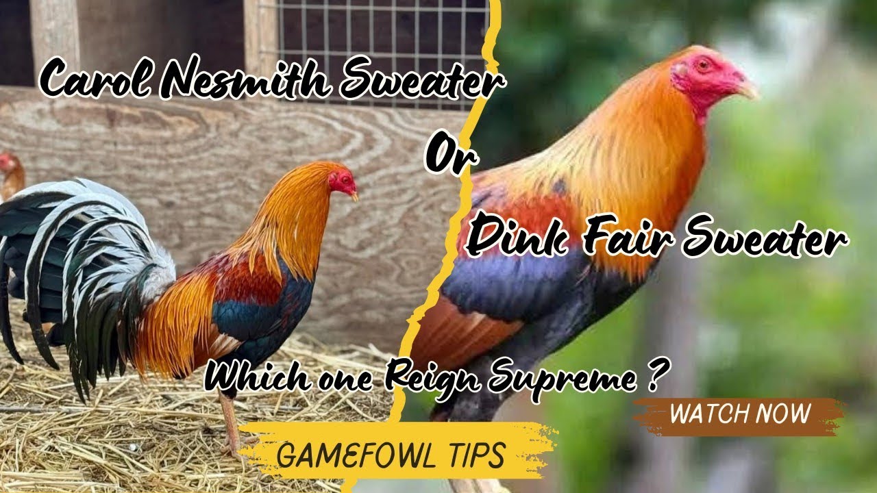 Свитер Кэрол Несмит или свитер Динк Фэйр — какая родословная правит бал?