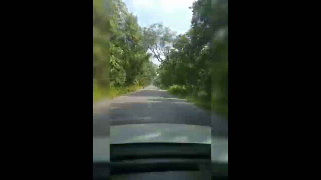 An medaram Eturnagaram Forest