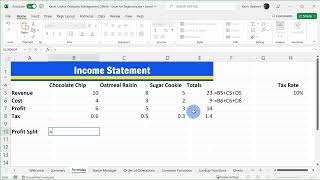 6-5. Formulas and functions: Division Net Worth