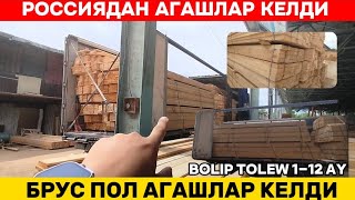 РОССИЯДАН АГАШЛАР КЕЛДИ/БРУС ПОЛ АГАШЛАР КЕЛДИ/БОЛИП ТОЛЕУДА БАР 1-12-АЙ/АГАШ БАЗАР