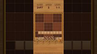 It‘s said that every senior has a Block Puzzle game on their mobile phone to exercise their brain? screenshot 1