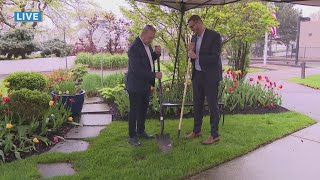 New Day Cleveland: Cleveland Clinic - Yardwork & Back Pain