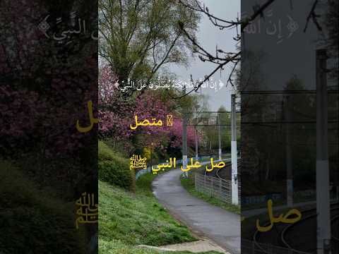متصل صل على النبي ﷺ