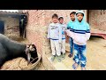 American twins in india village     bharti family vlogs