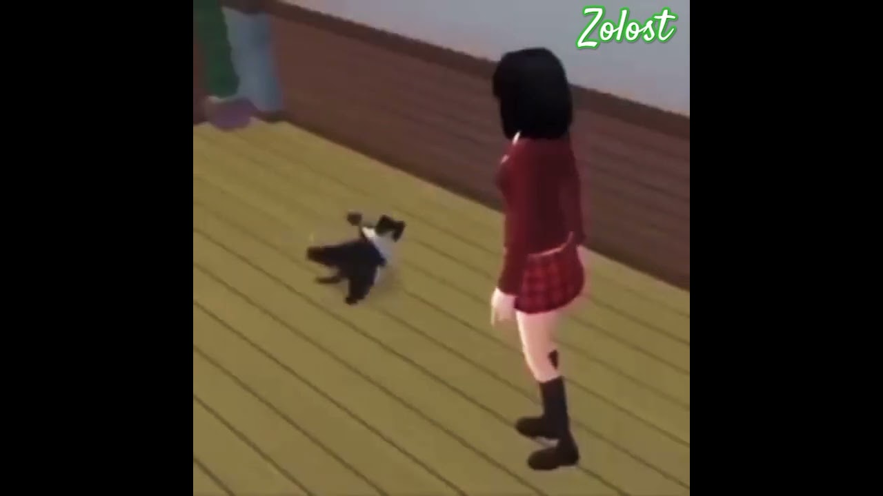 Breakdancing cat to meow meow song 