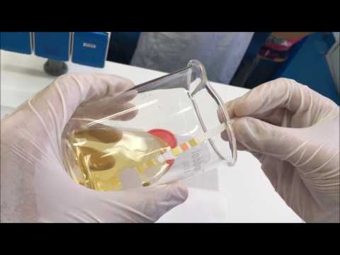 tiras de prueba de diabetes cetona