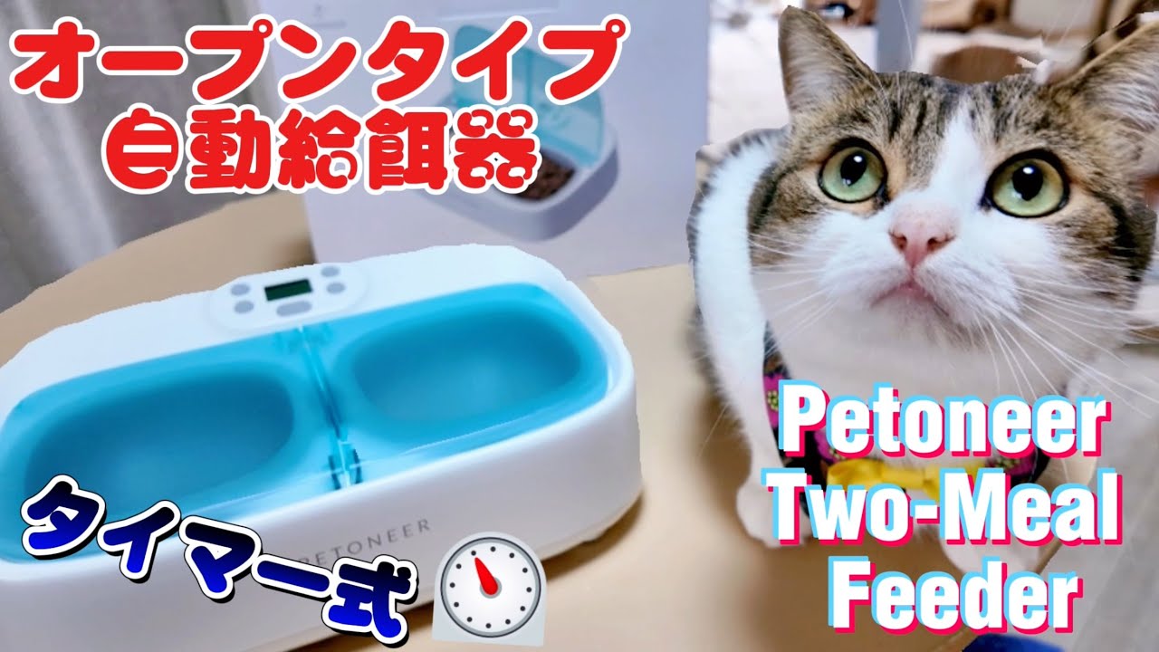 オープンタイプ自動給餌器😽❤️ 『Petoneer Two-Meal Feeder