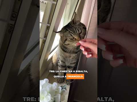 Video 3 pericoli della finestra aperta per il