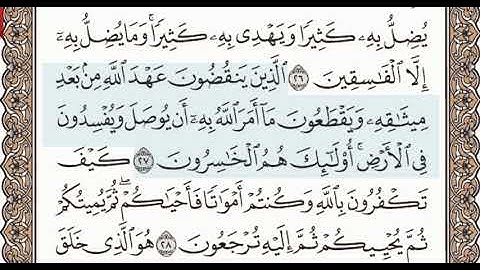 سورة ﴿ البقرة ﴾   الصفحة رقم ﴿ 5 ﴾ الأيات من  ﴿ 25 الي 29 ﴾  المصحف المعلم الشيخ محمود خليل الحصري