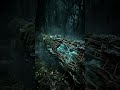 Glowing Wood in the Dark: The Mystery of Foxfire Fungi