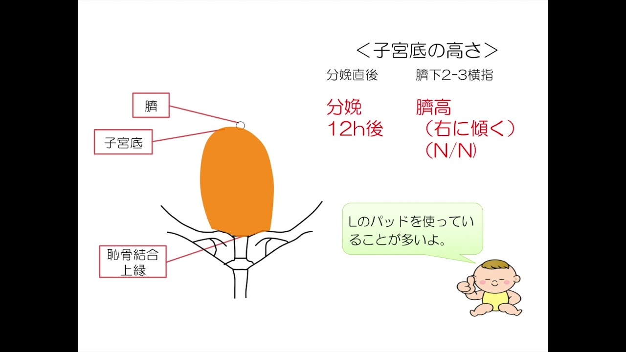 産後 子宮 の 戻り が 悪い