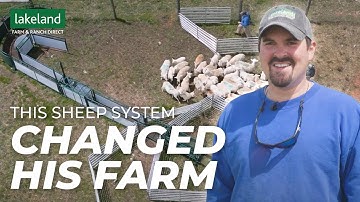 The SG300: A Premium Sheep and Goat Handling System | How Grimshaw Farms Has Harnessed Its Power