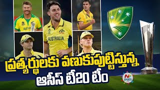 Australia squad for T20 World Cup 2024 | NTV Sports