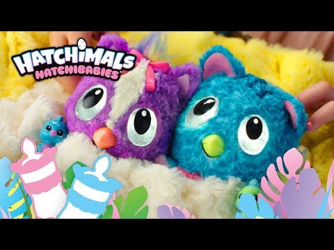 hatchimals hatchibabies youtube