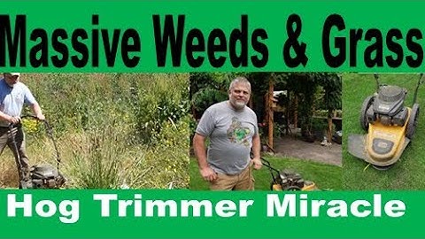 Overgrown Vegetation with Hog Trimmer - Walk Behind Trimmer - Cub Cadet ST 100