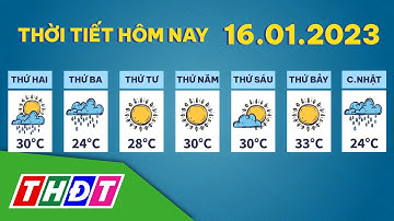Thời tiết hôm nay, 16/1/2023 | THDT