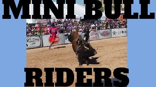 Las Vegas Events: Mini Bull Riders PBR Bull Riders 2014