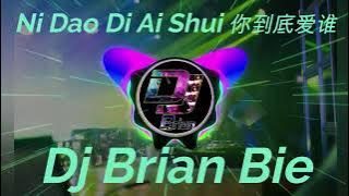 Ni Dao Di Ai Shui 你到底爱谁 Remix By Dj Brian Bie