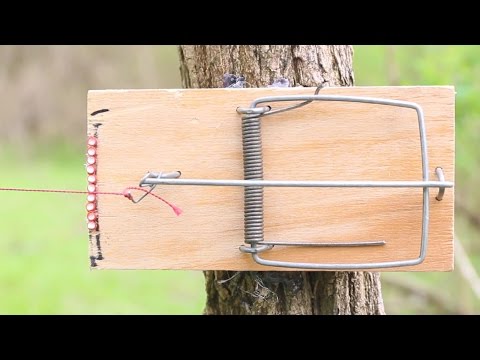 How to Make a Mousetrap Trip Wire Alarm | DIY