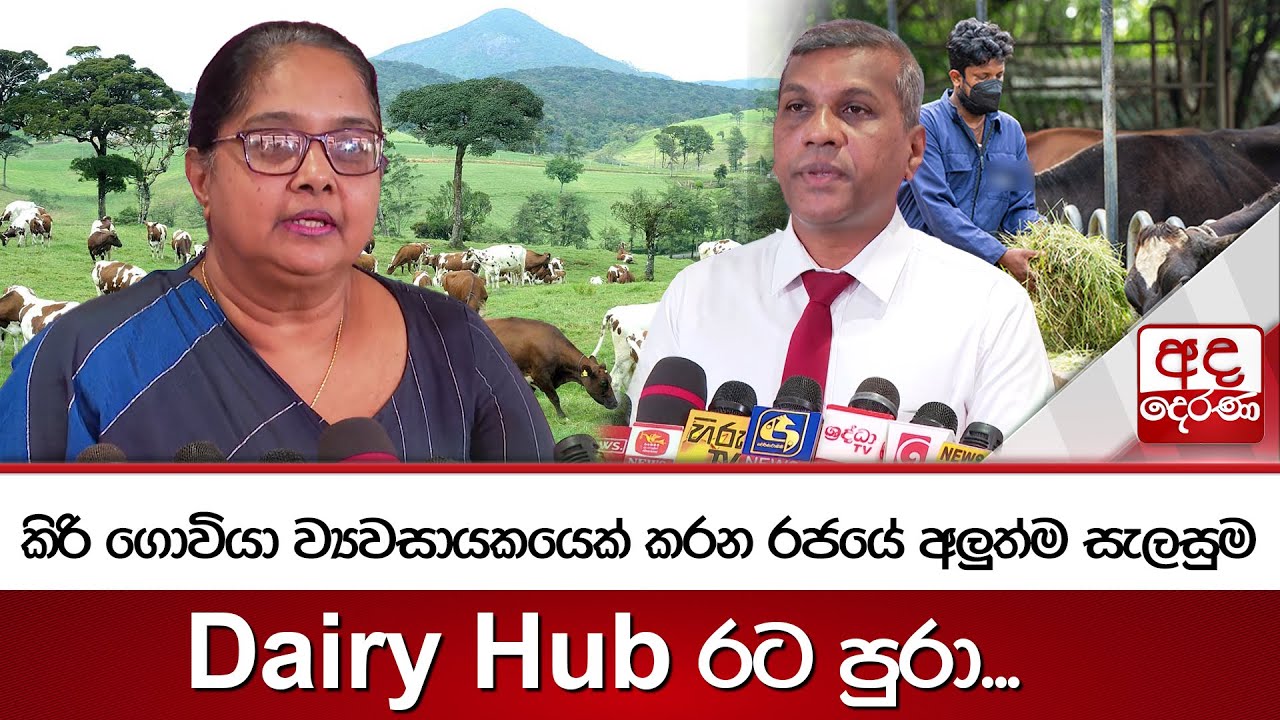 කිරි ගොවියා ව්‍යවසායකයෙක් කරන රජයේ අලුත්ම සැලසුම - Dairy Hub රට පුරා...