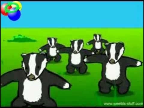 www.youtube.com