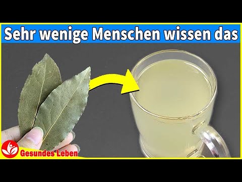 Video: Essbare Lorbeerblätter erkennen: Kann man mit allen Lorbeerblättern kochen?